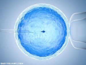 供卵代生医院